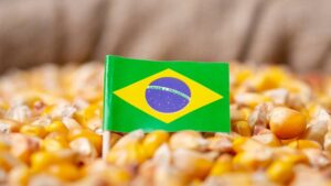 Brazil: A Growing Agribusiness Giant