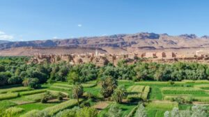 African Plant Nutrition Institute Launches Growing Africa Magazine