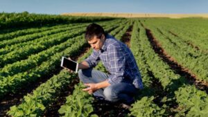 BIO Endorses the Framework for Responsible Use of Gene Editing in Agriculture