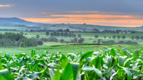 Africa: AGRA and GAIN Sign Cooperation Agreement