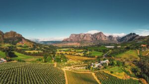 South Africa Plays a Critical Role in the Continent’s Crop Protection Industry