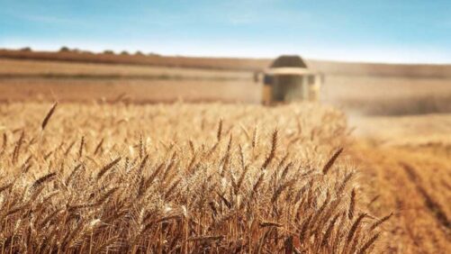 UPL, Chr. Hansen Launch New Bionutritional to Increase Crop Health and Yield