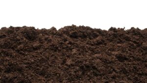 Revolutionizing Agriculture: Nano Fertilizers Market Set to Surpass USD 12.4 Billion by 2034