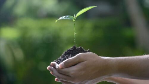 FMC Significantly Expands Biologicals Platform with Agreement to Acquire BioPhero