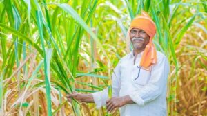 Insecticides (India) Launches Four Products