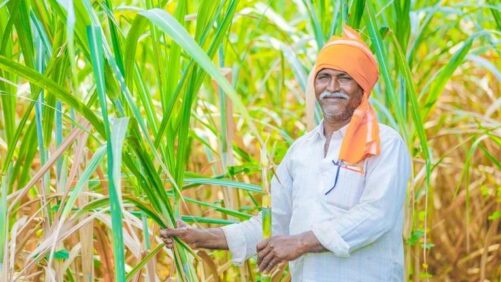 Insecticides (India) Launches Four Products