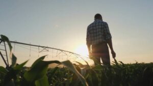 Corteva Agriscience Announces U.S. EPA Registration of Resicore XL Herbicide