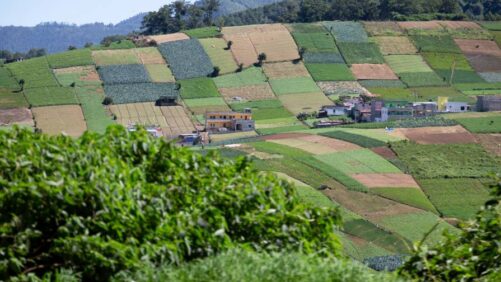 Exploring the Possibilities for Agribusiness in Central America, Mexico
