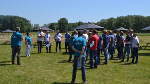 Certis Belchim Trial Field Days Highlight Combined Portfolio
