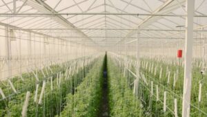 Q2 2022 AgTech Venture Capital Investment and Exit Round Up