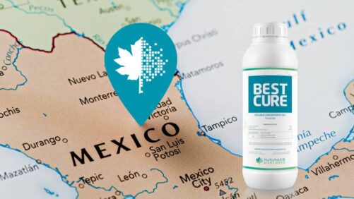 Futureco Bioscience, Innovak Global Form Partnership to Distribute BESTCURE Biocontrol in Mexico