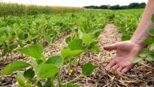 Syngenta Group Continues Momentum with Strong Growth in Q2 2022