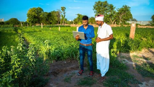 Why Is India’s Agrochemical Market Growing So Fast?