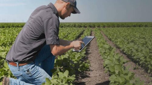 Vive Crop Protection Closes Funding Round, Accelerating Its Precision Chemistry Platform