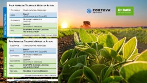 BASF, Corteva Agriscience Collaborate to Deliver the Future of Weed Control to Soybean Farmers