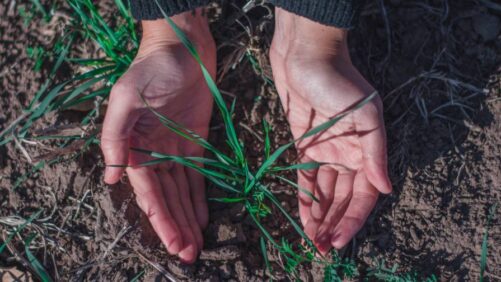 Syngenta Seedcare, Bioceres Crop Solutions Collaborate to Bring Biological Seed Treatments to Global Markets