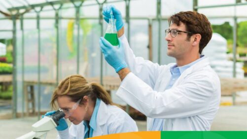 Syngenta Group Recognized Again As Top Agriculture Employer