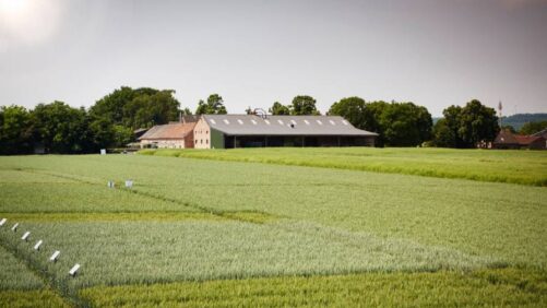 Bayer Showcases How to Jointly Tackle the Challenges of Food Security and Climate Change