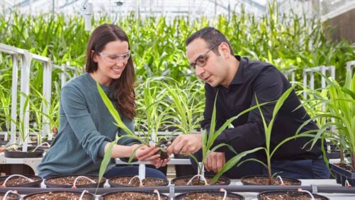 Bayer Launches New LifeHub in Monheim Focused on the Future of Agriculture in Europe