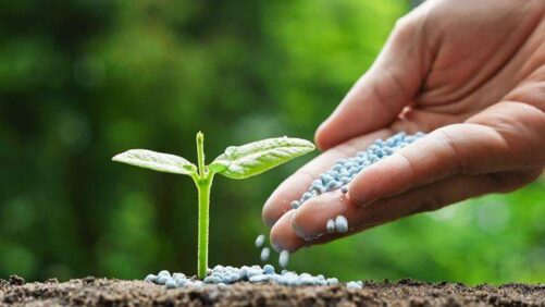 Brazil Potash, the Mura, Environmental Concerns, and Brazil’s Plan to Decrease Potash Imports