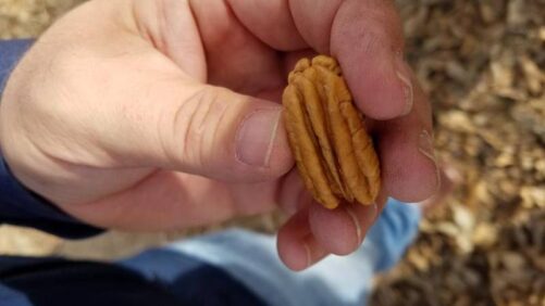 U.S.: Atticus Announces 27 New Product Registrations in Arizona