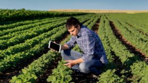 Corteva Agriscience Verified As Operating Within the Framework for Responsible Use of Gene Editing in Agriculture