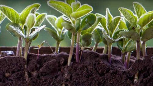 ADM excede a meta de 2 milhões de acres de agricultura regenerativa para 2023 e aumenta a meta de 2025 para 5 milhões de acres