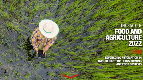 The State of Food and Agriculture 2022: Leveraging Automation to Transform Agrifood Systems