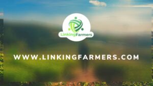 Caribbean Chemicals Launches Website Linking Farmers Directly With Buyers