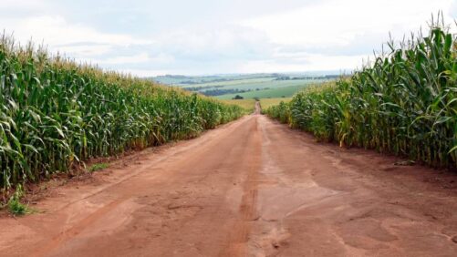 Making Sense of the New Bioinputs Regulation in Brazil