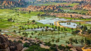 Indian Crop Protection Companies Seeking Sourcing Opportunities in 2023