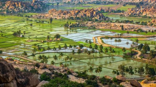 Indian Crop Protection Companies Seeking Sourcing Opportunities in 2023