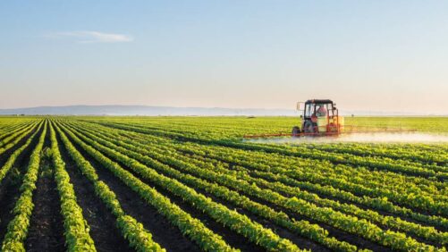 Global Agrochemicals Market Poised for Significant Growth, Projected to Reach $282.2 Billion by 2028
