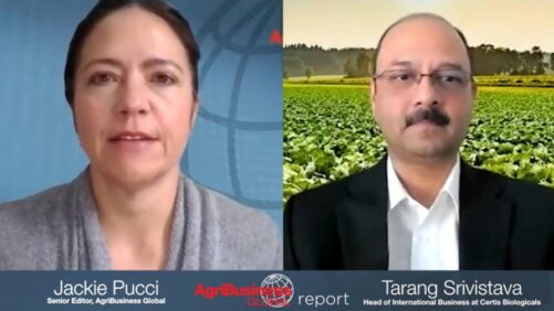 How Biologicals in Row Crops Are Increasing in Adoption (Part One)