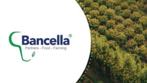 Bancella Strengthens Its Team to Better Serve Industry Partners