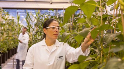 BASF Advances Innovation Pipeline with Integrated Solutions