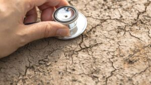 Healthy Soils are Critical for Healthy Crops