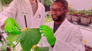 Biotalys Starts Field Trials for Second Biofungicide