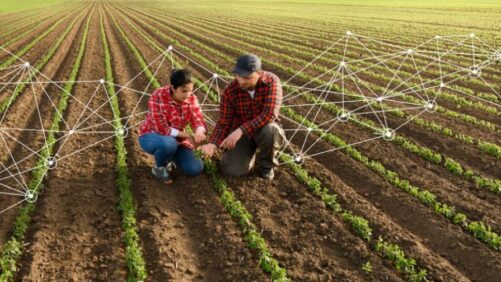 Top 3 Strategies for Driving Sustainable Agriculture in East Africa
