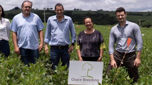 Grace Breeding Registers Its NFT Bio-Fertilizer in Brazil