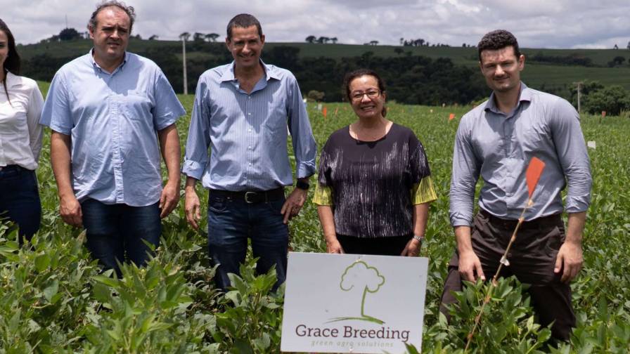Grace Breeding registers its NFT biofertilizer in Brazil