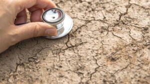 Understanding and Supporting Soil Health