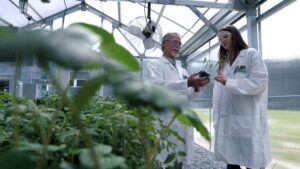 Benzyl Alcohol Receives Crop Tolerance Exemption for Use in Crop Protection Formulations