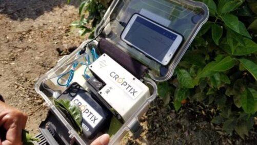 AgTech Plant Health Startup Croptix Announces Milestone Investment Led by Advancing Eco Agriculture