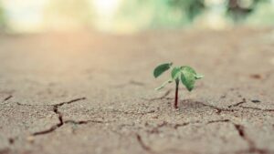 Governments and NGOs Invest in Technology and Climate Smart Ag Solutions