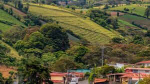 Latin America Remains a Hot M&A Market for Global Agribusiness