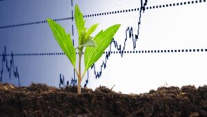 The Political and Pandemic Impact on Agchem Trade in the U.S.