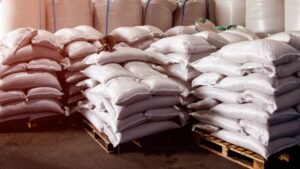 An Overview of the Seed Market and Crop Production in Central America