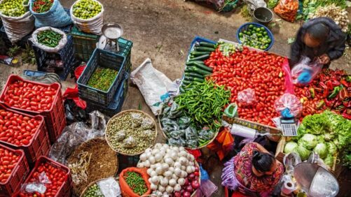 Central America’s Crop Protection Market Shows Promising Development