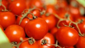 EcoStim to Expand Into the North American Agriculture Industry